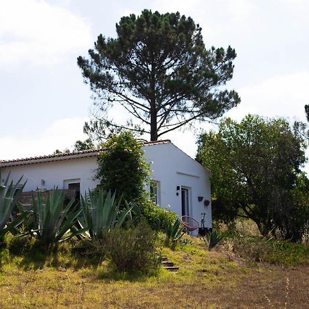 Monte Da Urze Aljezur - Agroturismo ภายนอก รูปภาพ