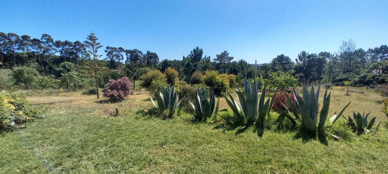 Monte Da Urze Aljezur - Agroturismo ภายนอก รูปภาพ