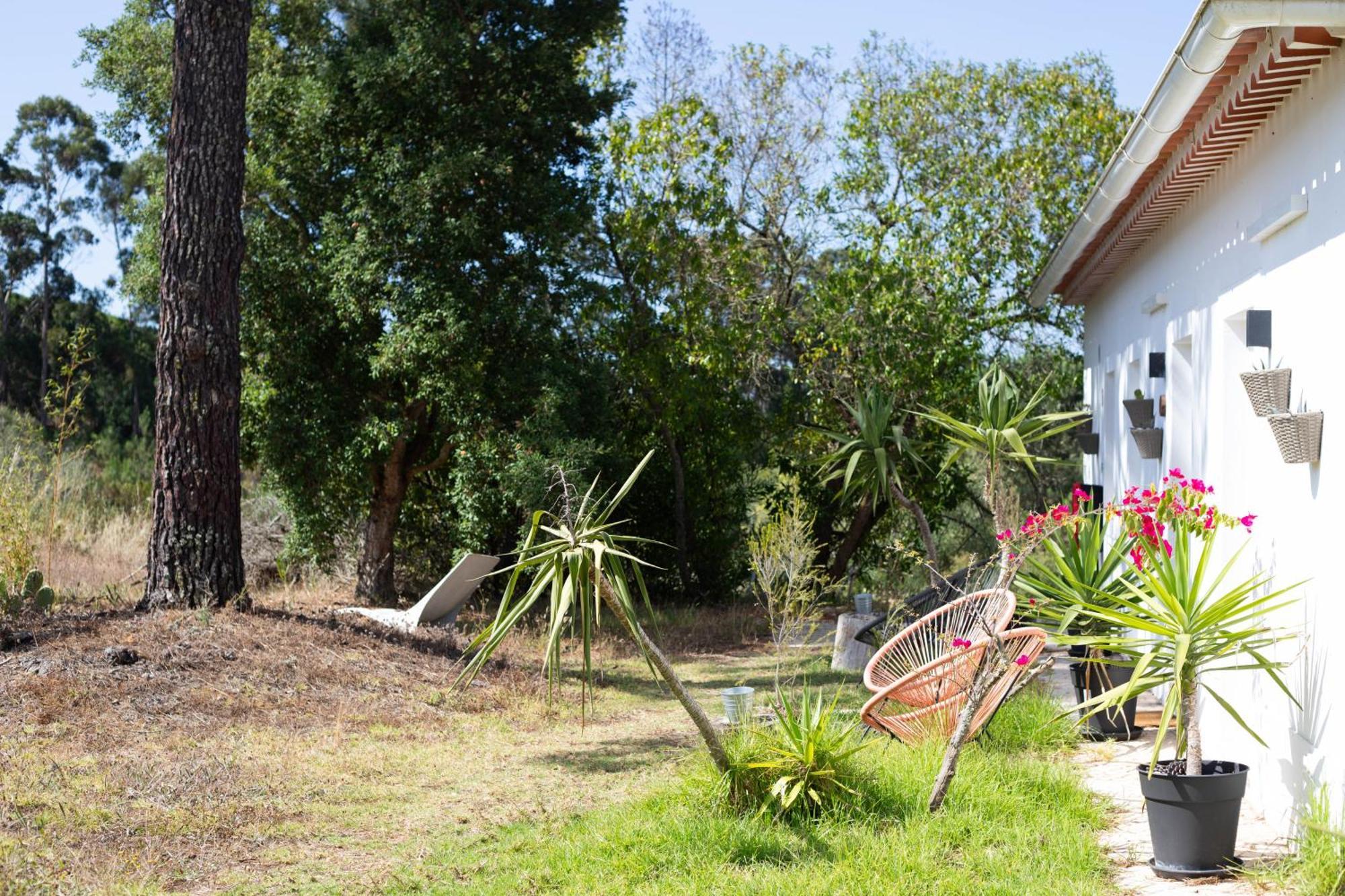 Monte Da Urze Aljezur - Agroturismo ภายนอก รูปภาพ